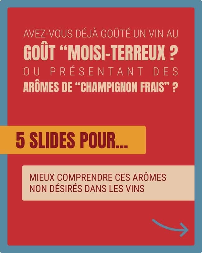 Carrousel ACF et GMTv4_page-0001 thumbnail