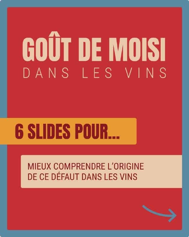 Carrousel - Goût moisi dans les vins